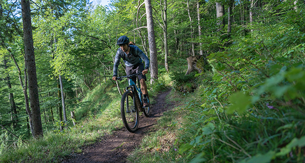 Cube Ebike Trail